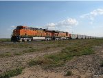 Empty Coal Train